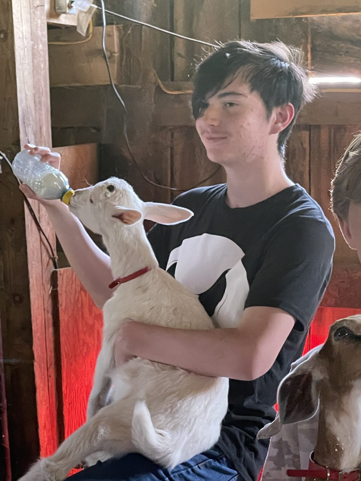 Student holding a chicken at a mountain farm