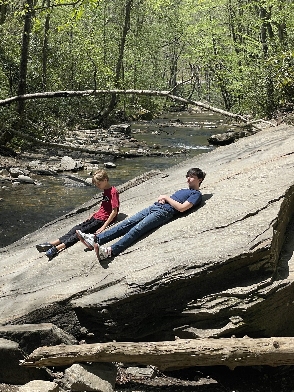 Students climbing rocks along a mountain stream