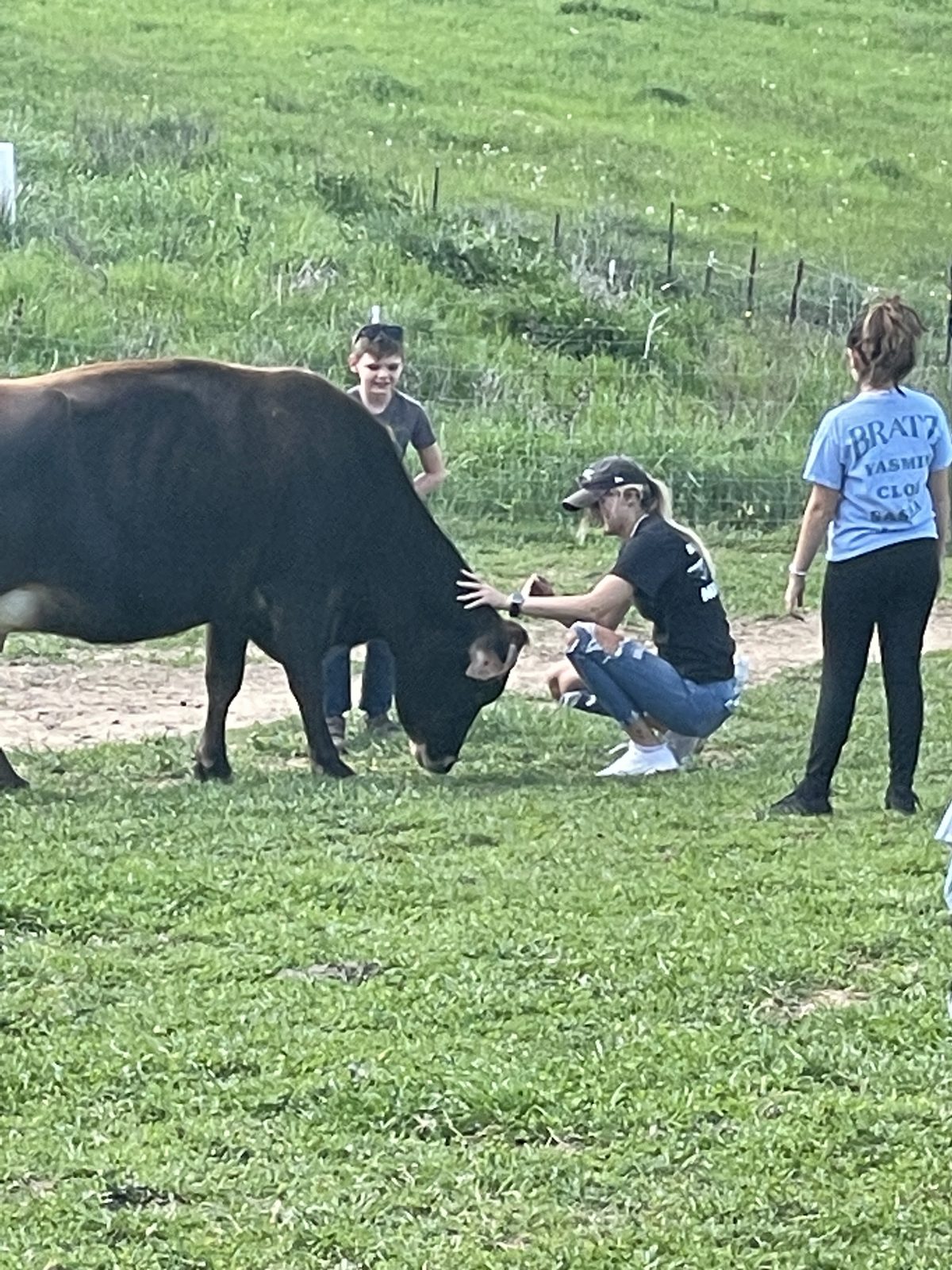 3 Oaks students with a cow in a mountain pasture