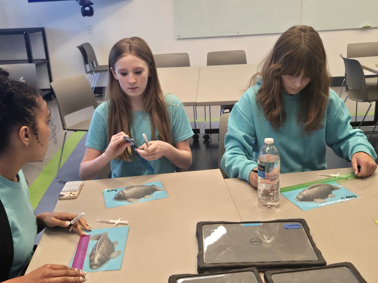 A small-group hands-on activity