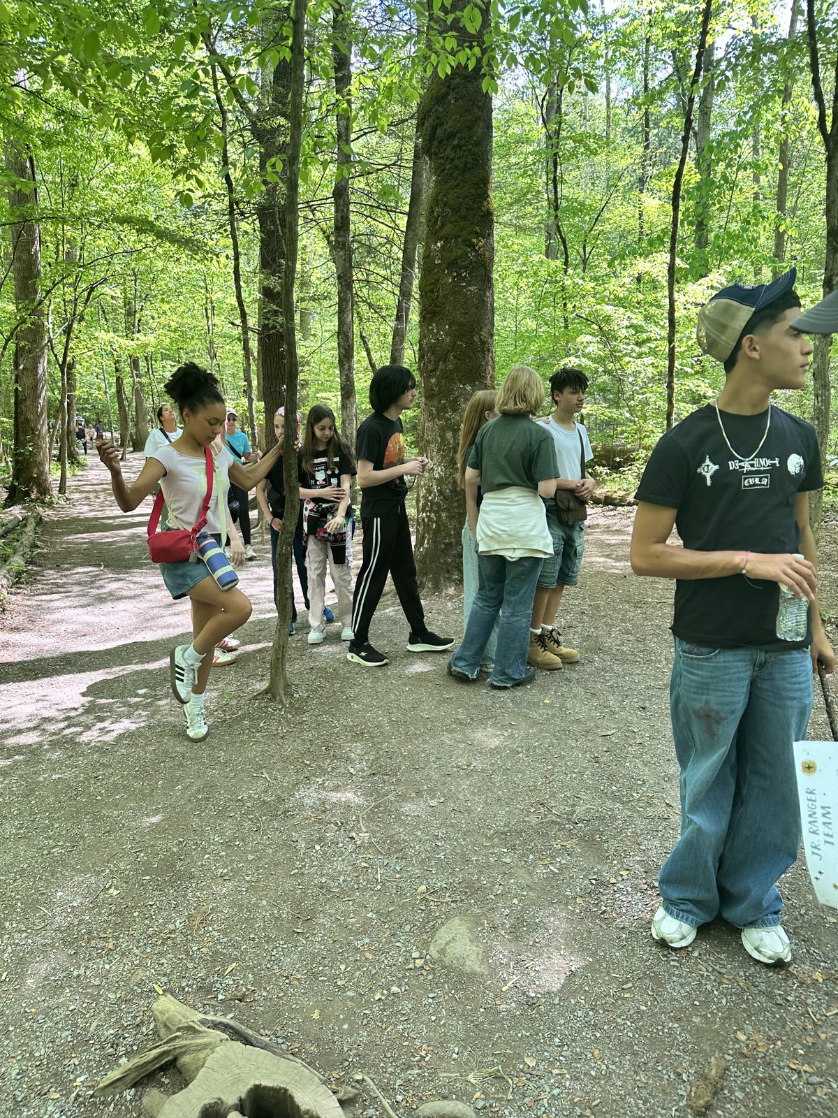Week Without Walls trail walk near Pigeon Forge