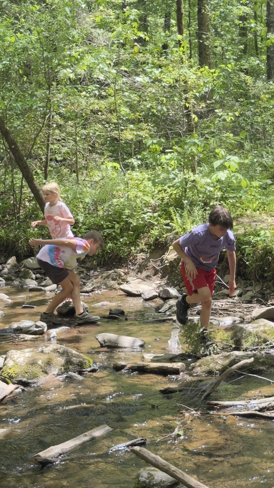 Week Without Walls group hiking in the Great Smoky Mountains