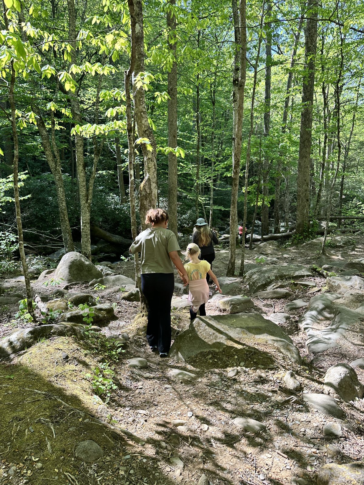 Students taking in a mountain view on Week Without Walls