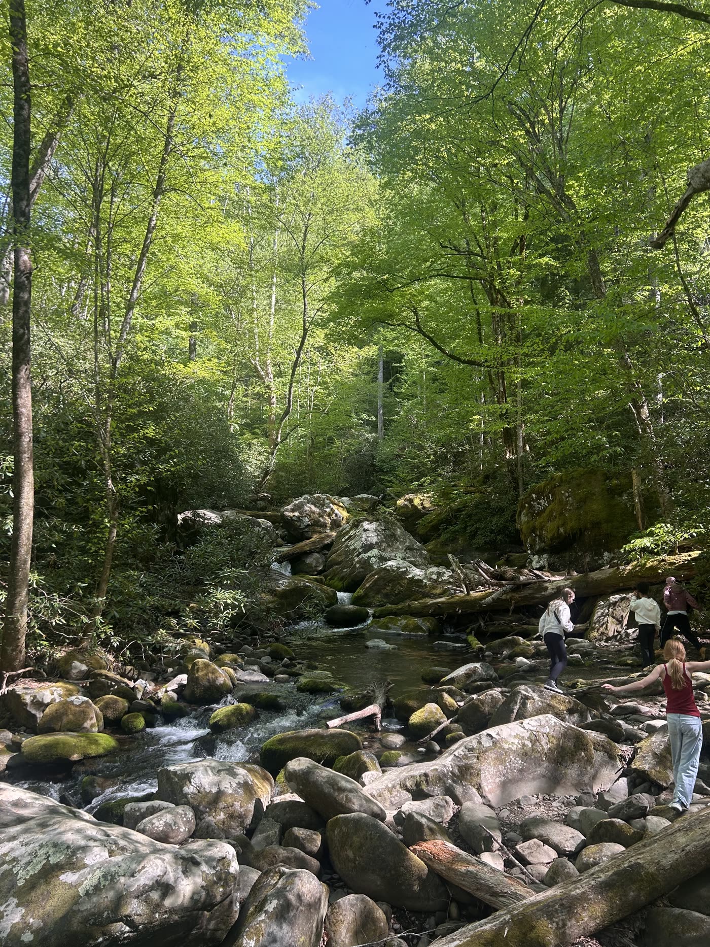 Week Without Walls — students beside a forest creek